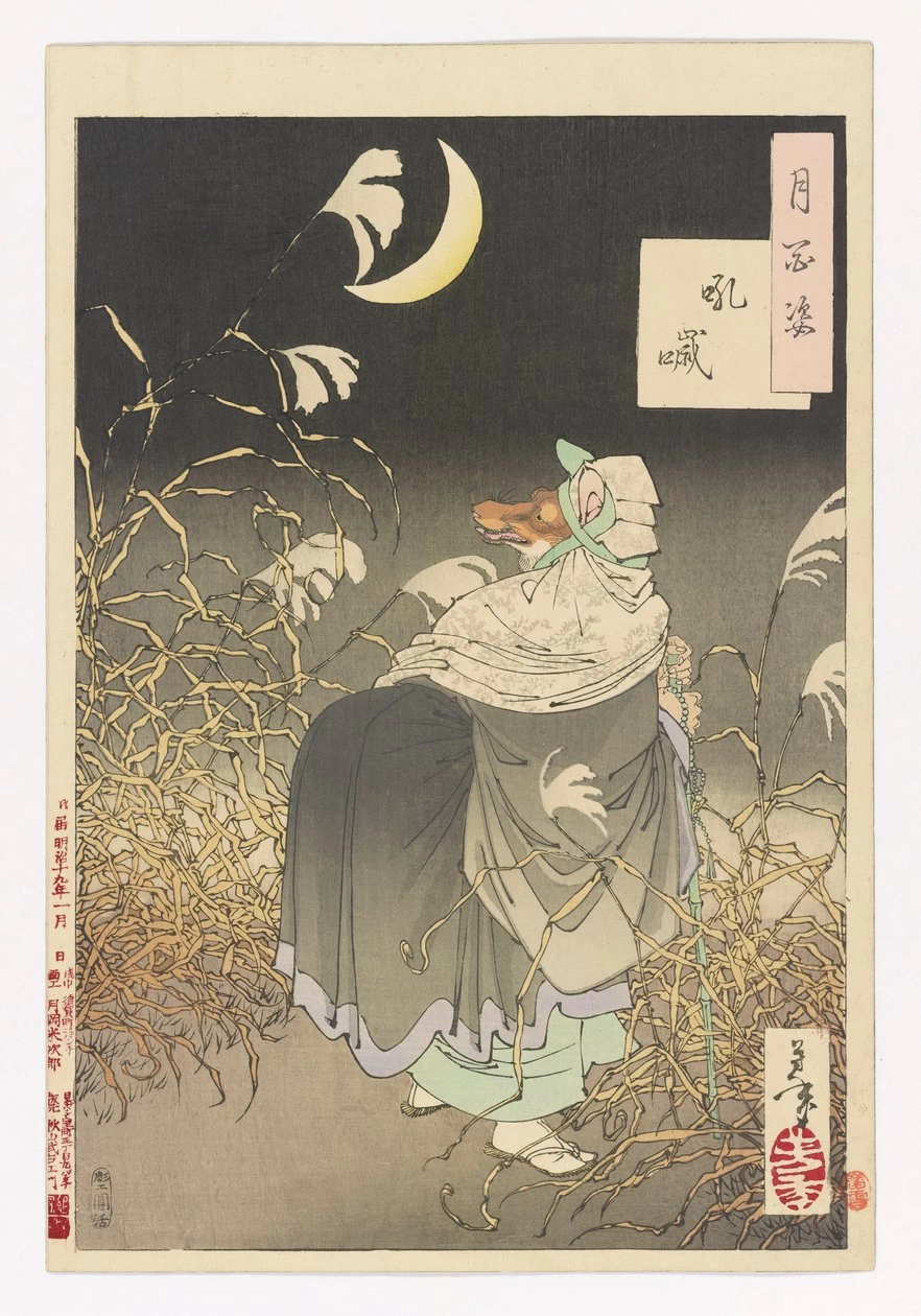 Il grido della volpe - n. 13 di Cento aspetti della luna, Yale University Art Gallery